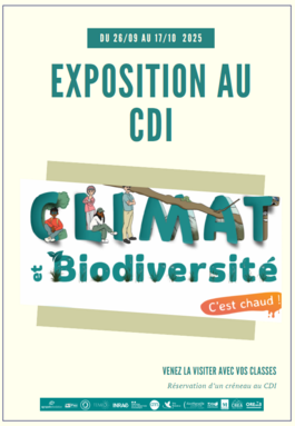 Affiche expo image.png